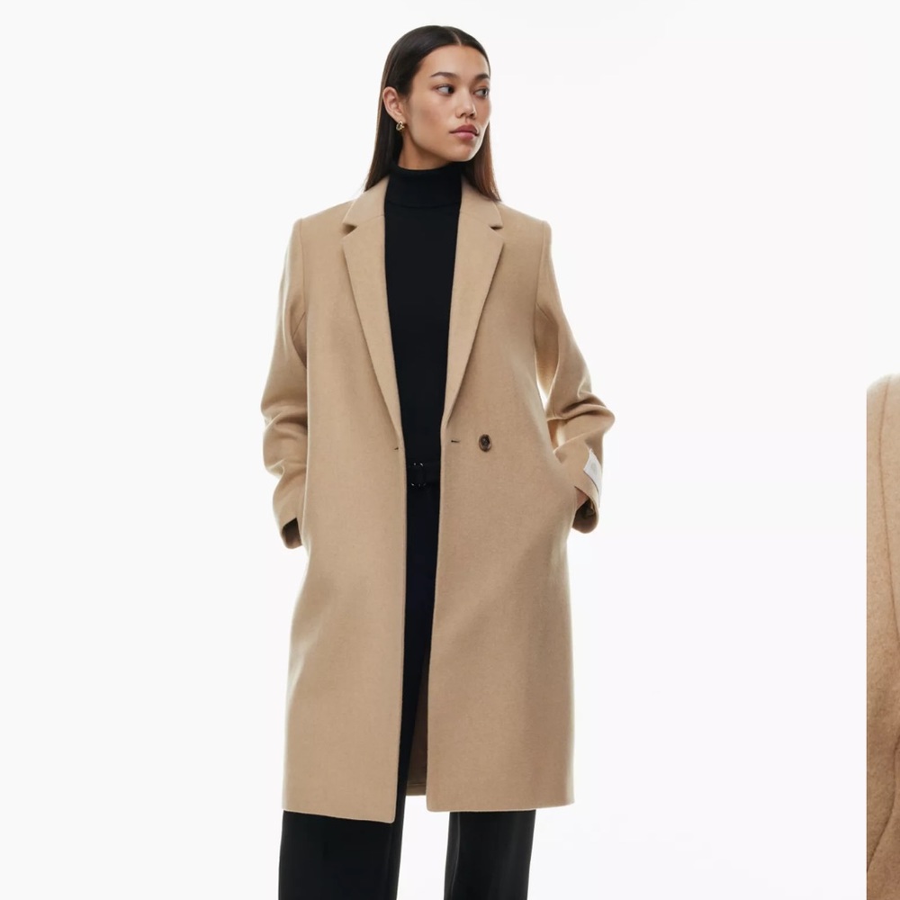 Aritzia Babaton Stedman Coat